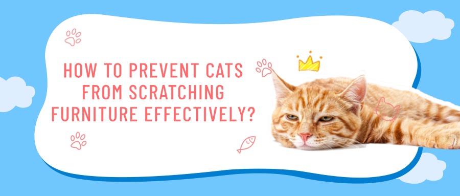 How-to-Prevent-Cats-from-Scratching-Furniture-Effectively FurryCircle