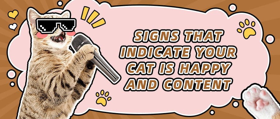 Signs-That-Indicate-Your-Cat-Is-Happy-and-Content FurryCircle