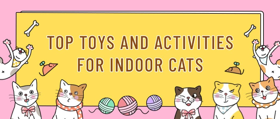 Top Toys And Activities For Indoor Cats