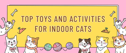 Top-Toys-And-Activities-For-Indoor-Cats FurryCircle