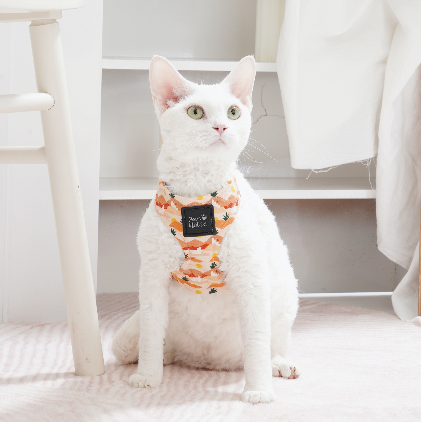 Cat Harness and Leash for Walking-Dessert Sunset, Soft and Adjustable Vest