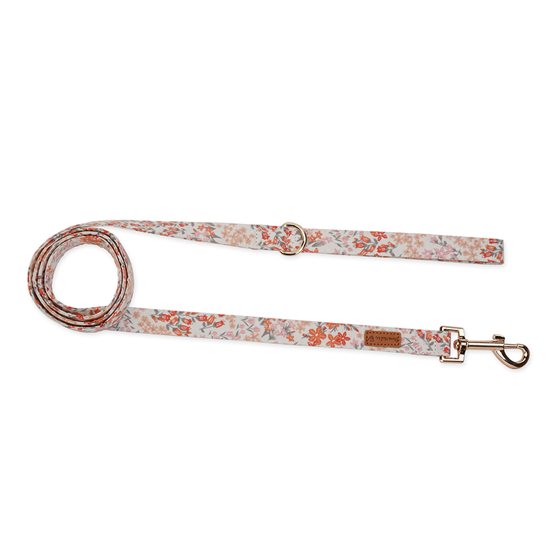 Cat Harness and Leash for Walking-Orange Blossom, Soft and Adjustable Vest