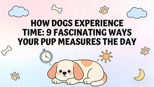 How Dogs Experience Time: 9 Fascinating Ways Your Pup Measures the Day