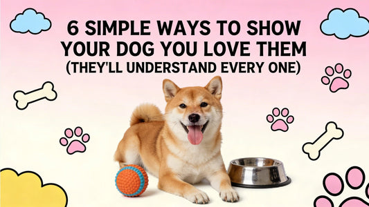 6 Simple Ways to Show Your Dog You Love Them (They'll Understand Every One)