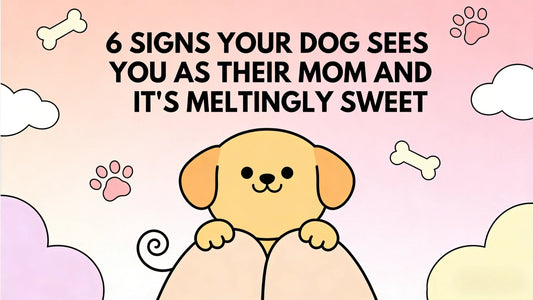 6 Signs Your Dog Sees You as Their Mom And It's Meltingly Sweet