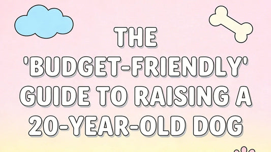 The "Budget-Friendly" Guide to Raising a 20-Year-Old Dog