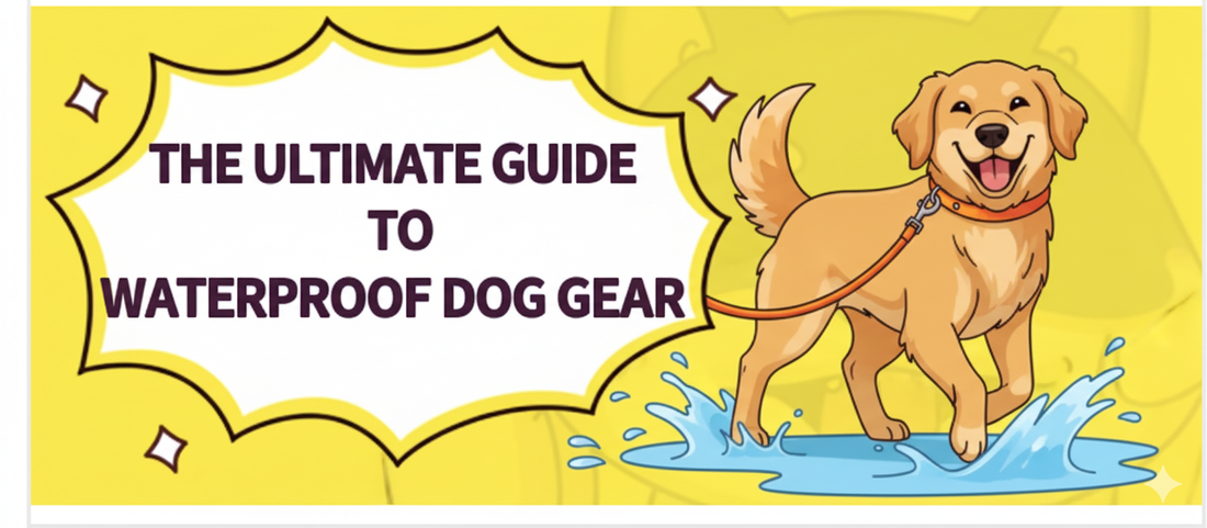 Why a Waterproof Series Dog Collar Leash Harness  is Your Most Essential Outdoor Gear