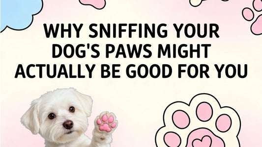 Why Sniffing Your Dog's Paws Might Actually Be Good for You