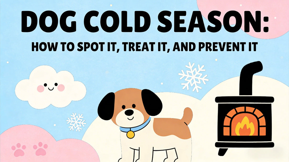 Dog Cold Season: How to Spot It, Treat It, and Prevent It