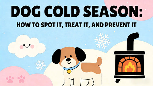 Dog Cold Season: How to Spot It, Treat It, and Prevent It