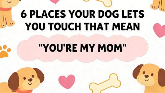 6 Places Your Dog Lets You Touch That Mean "You're My Mom"