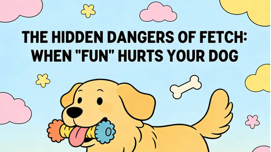 The Hidden Dangers of Fetch: When "Fun" Hurts Your Dog