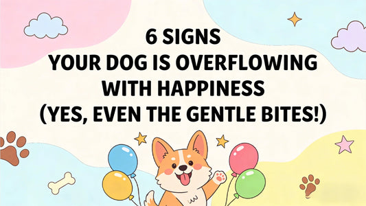 6 Signs Your Dog Is Overflowing with Happiness (Yes, Even the Gentle Bites!)