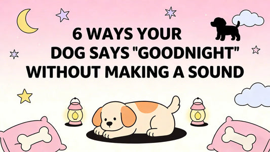 6 Ways Your Dog Says "Goodnight" Without Making a Sound