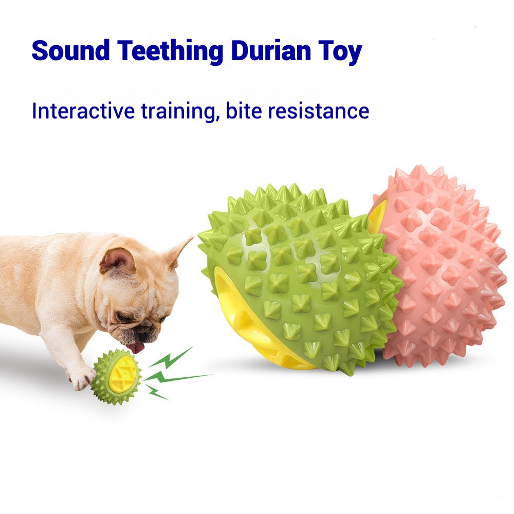 Durian Shape Dog Molar Toy Interactive Squeaky Toy - Usage Scenario - FurryCircle