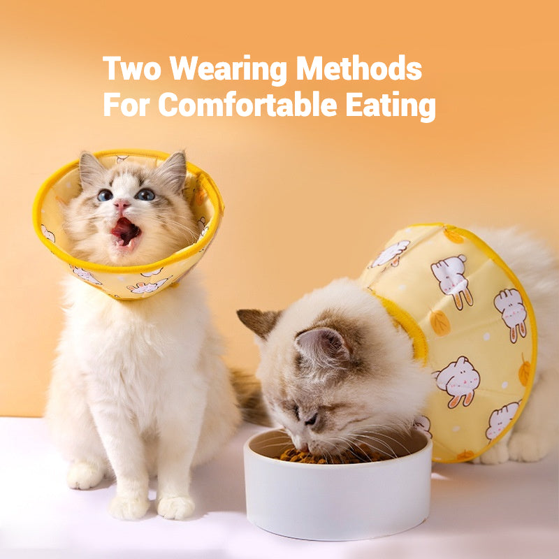 Pet Anti-bite Collar Cat Wound Healing