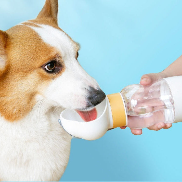 Portable Pet Water Bottle with Leak-Proof Design