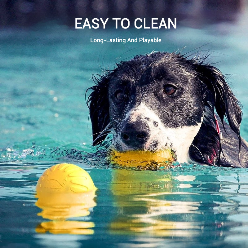 EVA Chewed And Floating Dog Toy Interactive Toy - Usage Scenario - FurryCircle