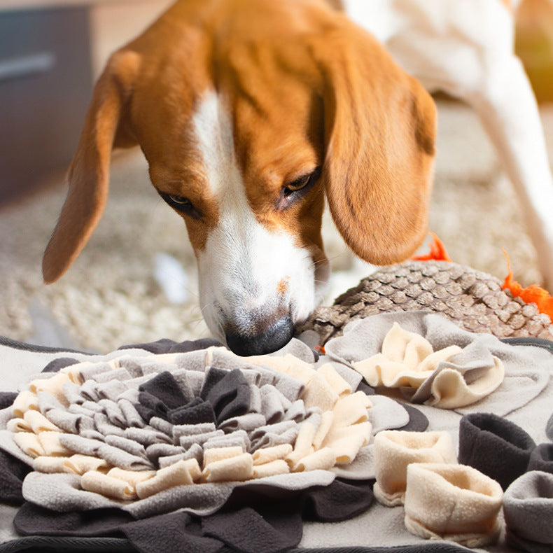 Fleece Pet Sniffing Mat with Built-In Squeaky Toy - Usage Scenario- FurryCircle