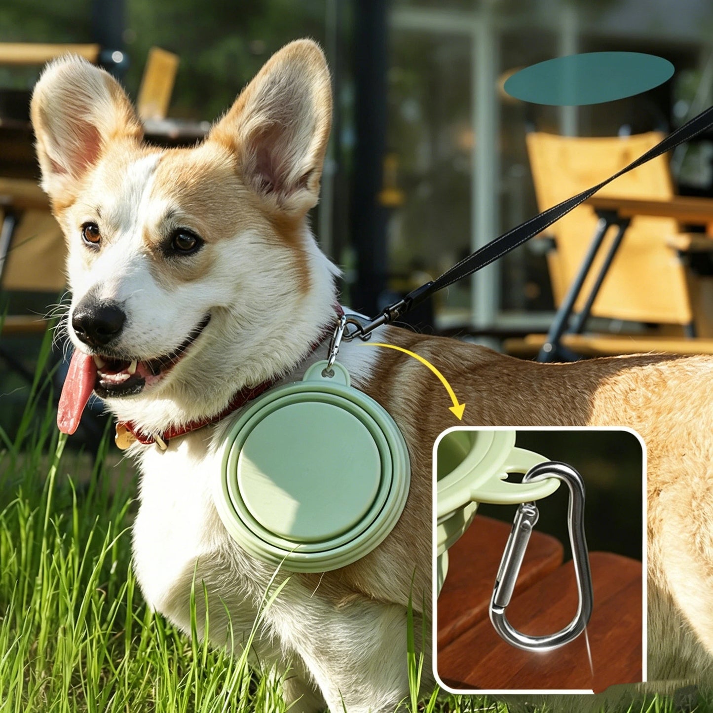 Dog Folding Silicone Bowl