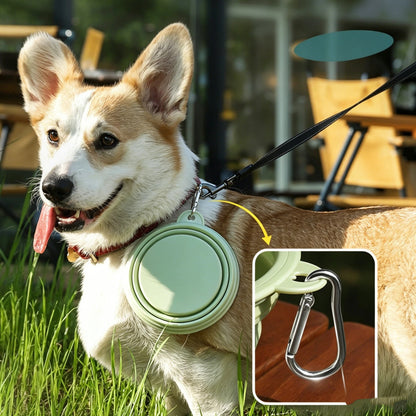 Dog Folding Silicone Bowl